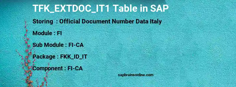 SAP TFK_EXTDOC_IT1 table