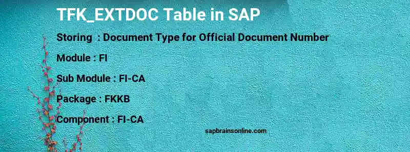 SAP TFK_EXTDOC table