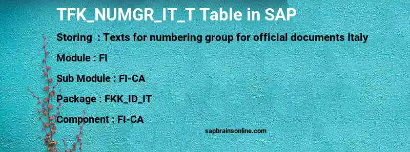 SAP TFK_NUMGR_IT_T table