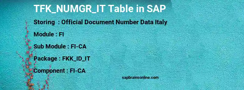 SAP TFK_NUMGR_IT table