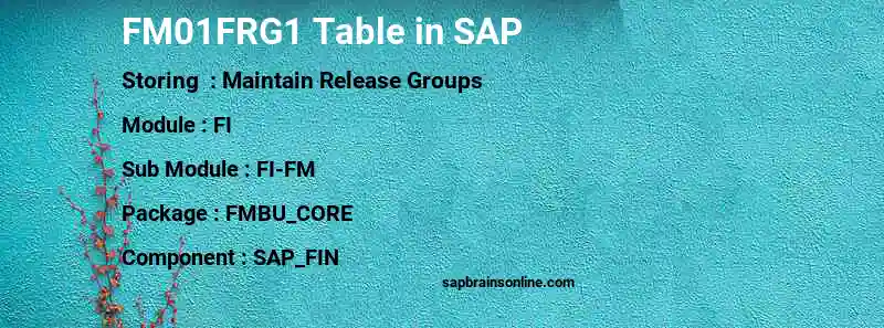 SAP FM01FRG1 table