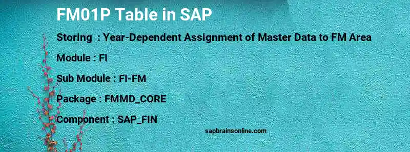 SAP FM01P table