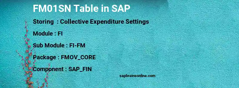 SAP FM01SN table