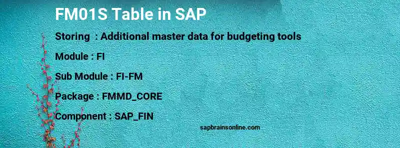 SAP FM01S table