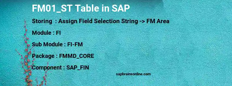 SAP FM01_ST table