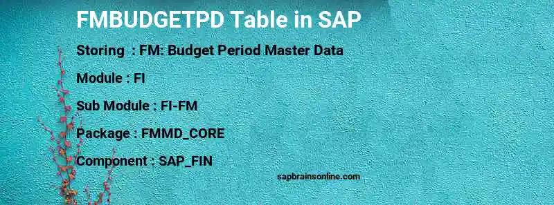 SAP FMBUDGETPD table