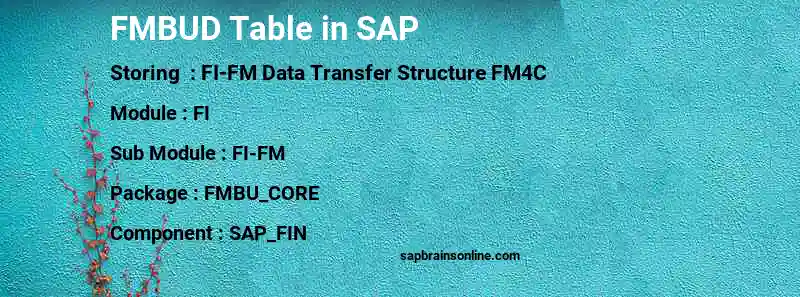 SAP FMBUD table