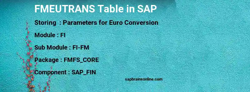SAP FMEUTRANS table