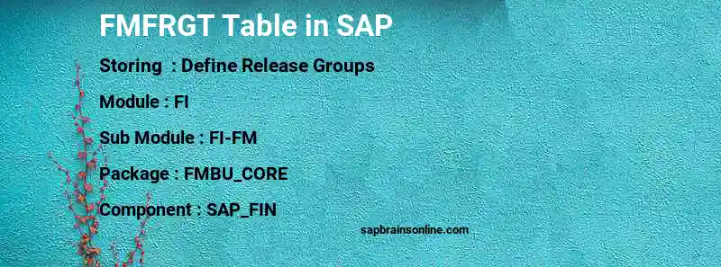 SAP FMFRGT table