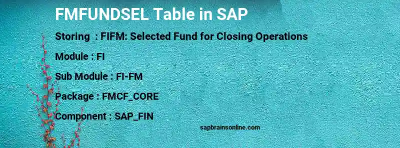 SAP FMFUNDSEL table
