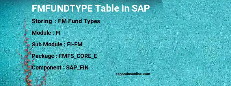 SAP FMFUNDTYPE table
