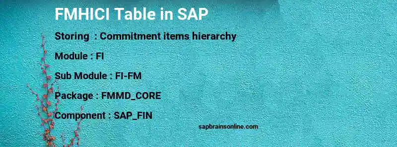 SAP FMHICI table