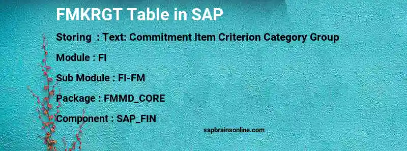 SAP FMKRGT table