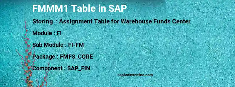 SAP FMMM1 table