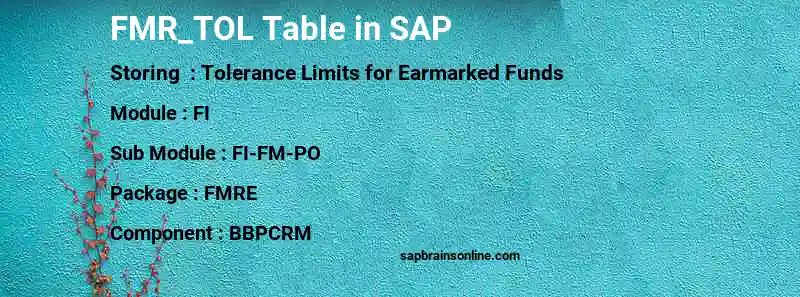 SAP FMR_TOL table
