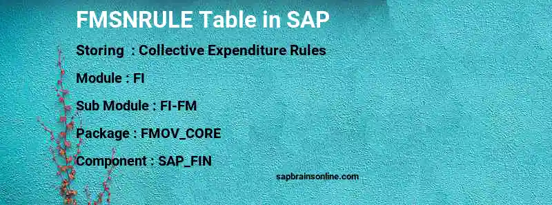 SAP FMSNRULE table