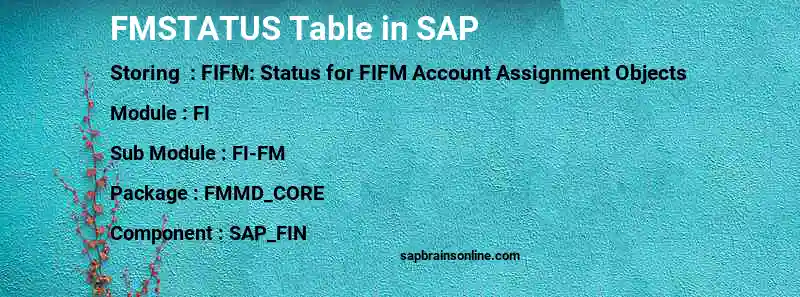 SAP FMSTATUS table