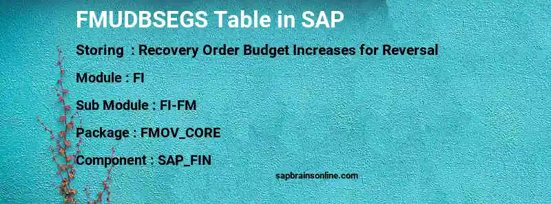 SAP FMUDBSEGS table