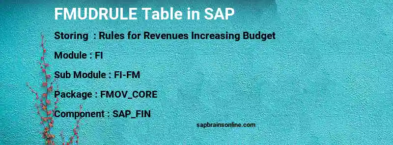 SAP FMUDRULE table