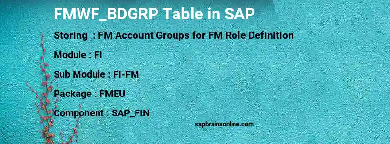 SAP FMWF_BDGRP table