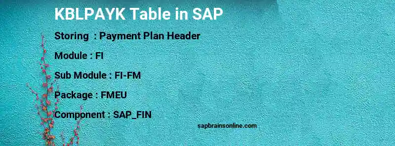 SAP KBLPAYK table
