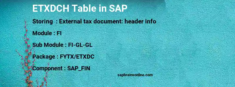 SAP ETXDCH table