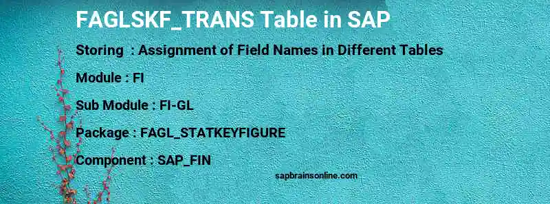 SAP FAGLSKF_TRANS table