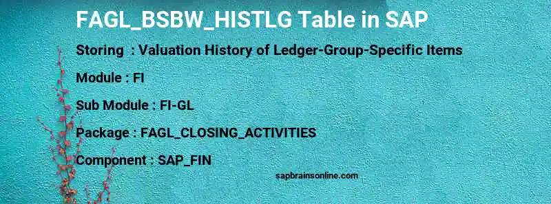 SAP FAGL_BSBW_HISTLG table