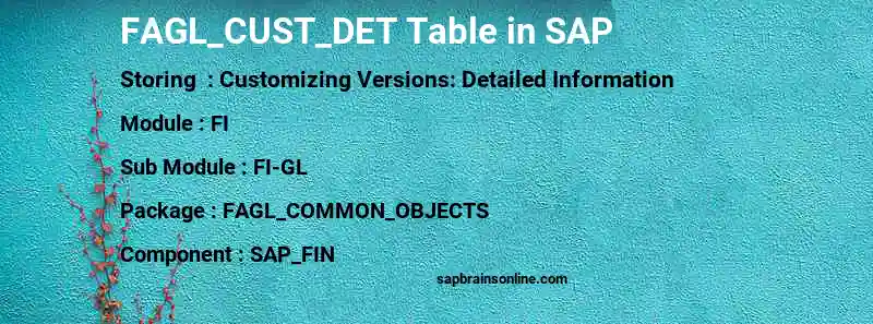 SAP FAGL_CUST_DET table