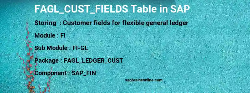 SAP FAGL_CUST_FIELDS table