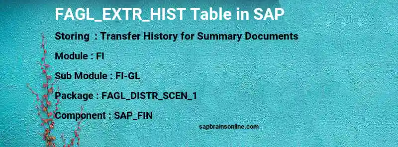 SAP FAGL_EXTR_HIST table
