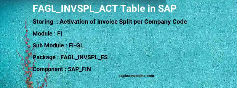 SAP FAGL_INVSPL_ACT table
