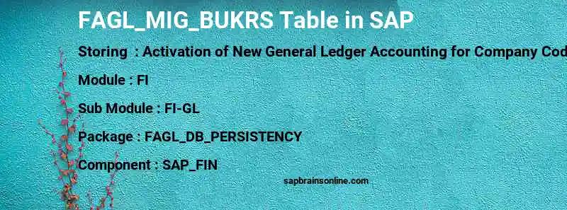 SAP FAGL_MIG_BUKRS table