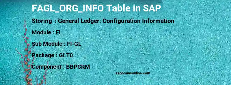 SAP FAGL_ORG_INFO table