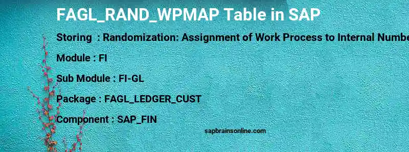 SAP FAGL_RAND_WPMAP table