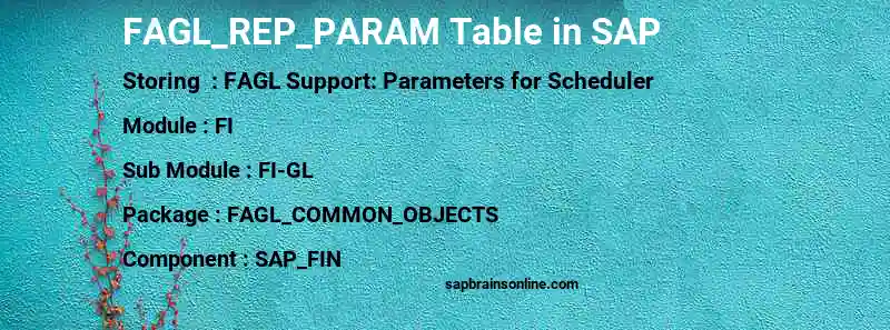 SAP FAGL_REP_PARAM table