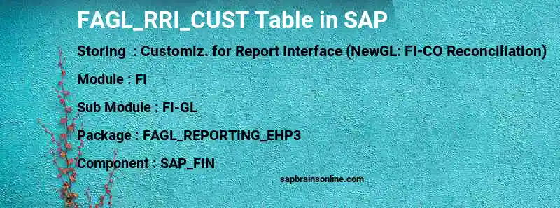SAP FAGL_RRI_CUST table