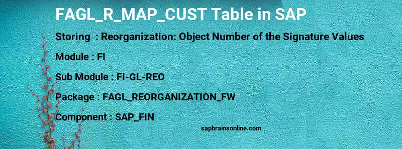 SAP FAGL_R_MAP_CUST table