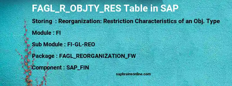 SAP FAGL_R_OBJTY_RES table