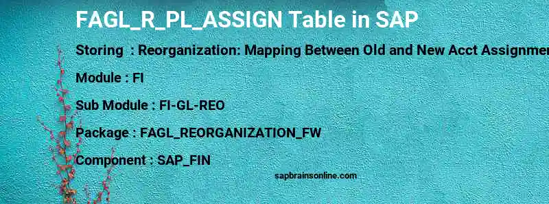 SAP FAGL_R_PL_ASSIGN table