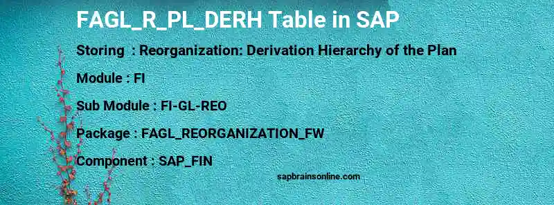 SAP FAGL_R_PL_DERH table