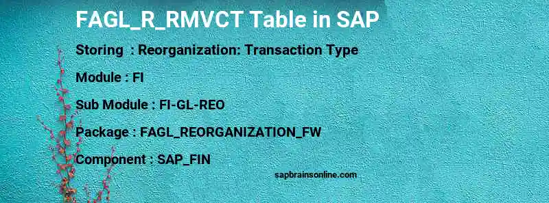 SAP FAGL_R_RMVCT table