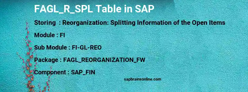 SAP FAGL_R_SPL table