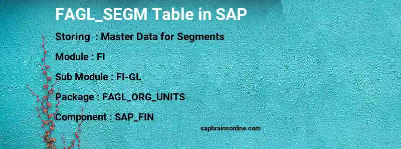 SAP FAGL_SEGM table
