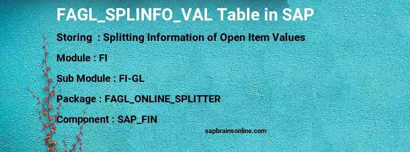 SAP FAGL_SPLINFO_VAL table