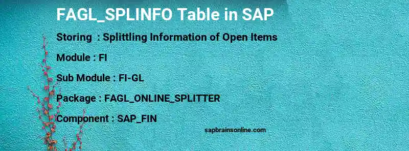 SAP FAGL_SPLINFO table