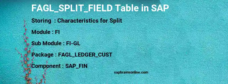SAP FAGL_SPLIT_FIELD table