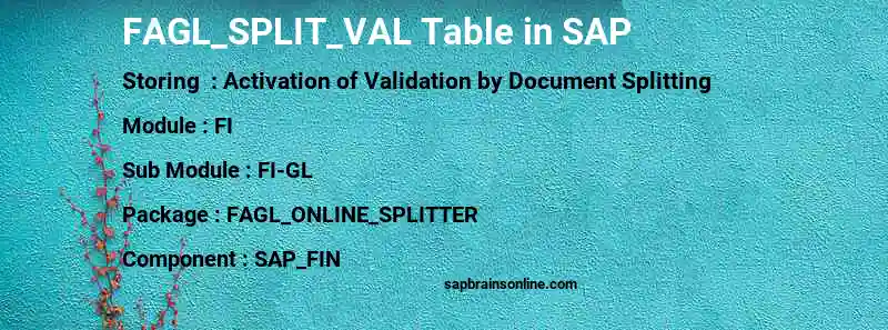 SAP FAGL_SPLIT_VAL table