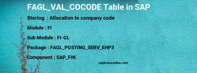 SAP FAGL_VAL_COCODE table