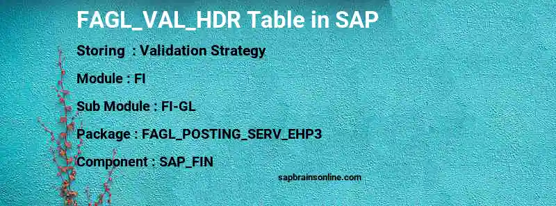 SAP FAGL_VAL_HDR table